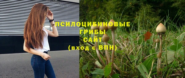 не бодяженный Беломорск