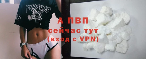 ГАЛЛЮЦИНОГЕННЫЕ ГРИБЫ Белоозёрский