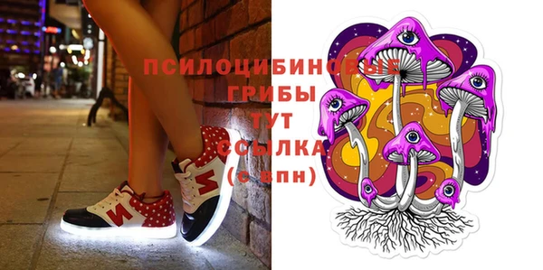МДМА Белокуриха