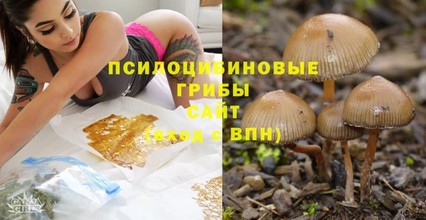 МДМА Белокуриха
