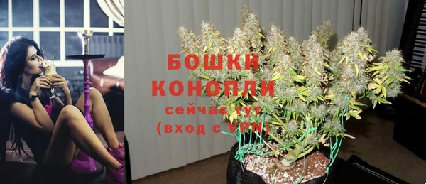 ГАЛЛЮЦИНОГЕННЫЕ ГРИБЫ Белоозёрский