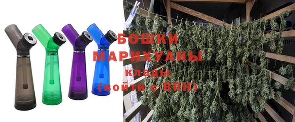 ГАЛЛЮЦИНОГЕННЫЕ ГРИБЫ Белоозёрский