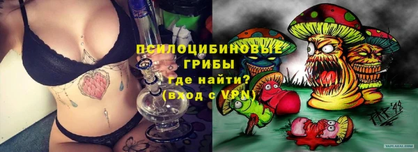 МДМА Белокуриха