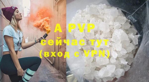 ГАЛЛЮЦИНОГЕННЫЕ ГРИБЫ Белоозёрский