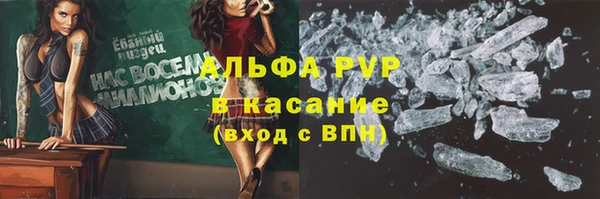 стафф Богородицк