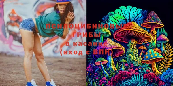 ГАЛЛЮЦИНОГЕННЫЕ ГРИБЫ Белоозёрский